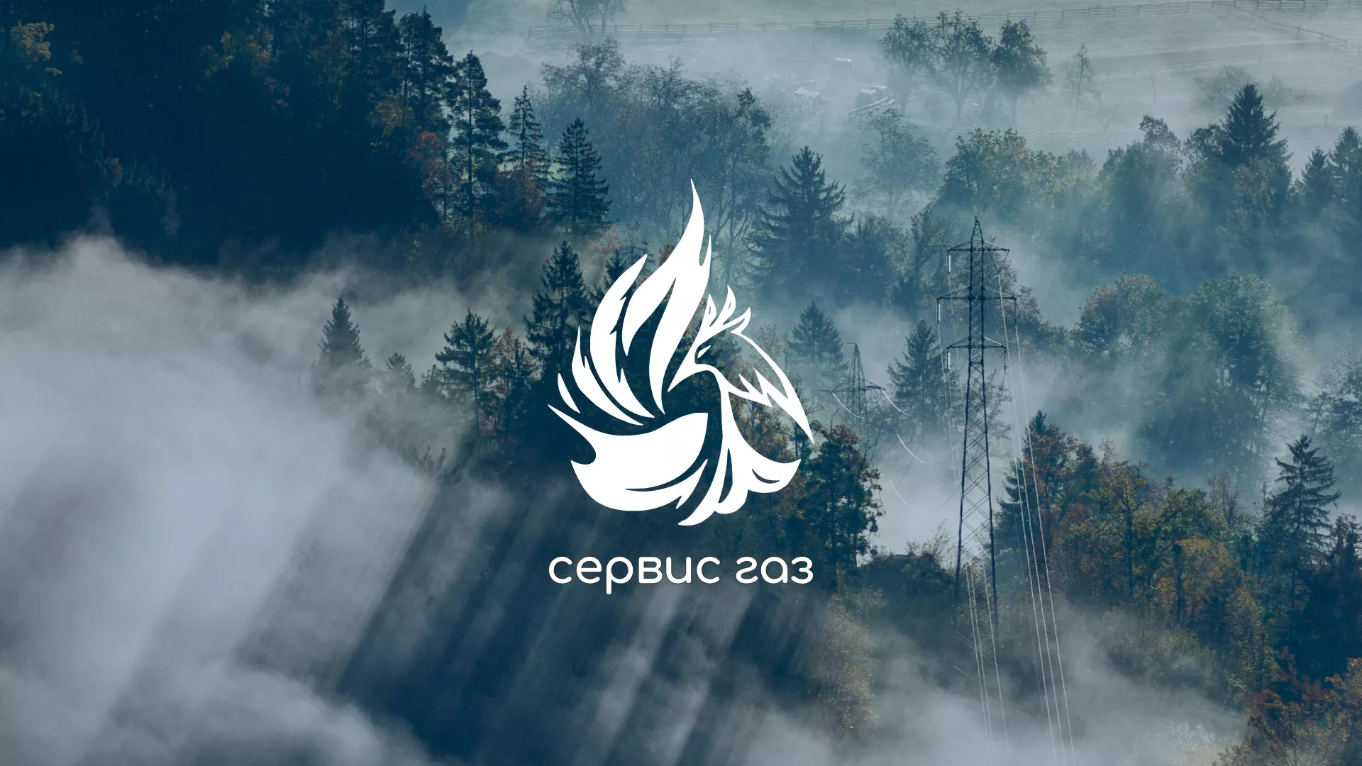 Создание сайта компании «Сервис газ» в Чудово