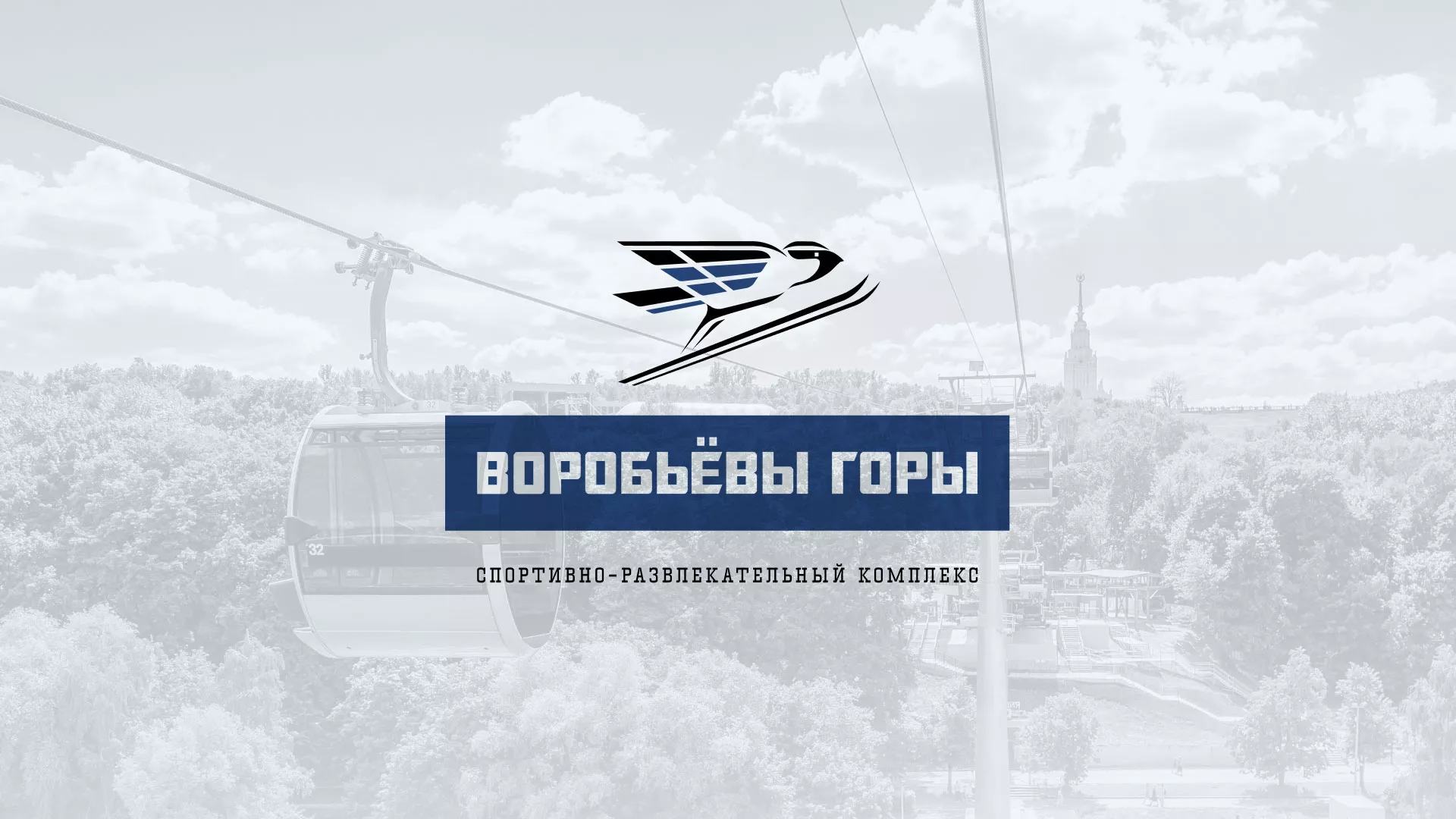 Разработка сайта в Чудово для спортивно-развлекательного комплекса «Воробьёвы горы»