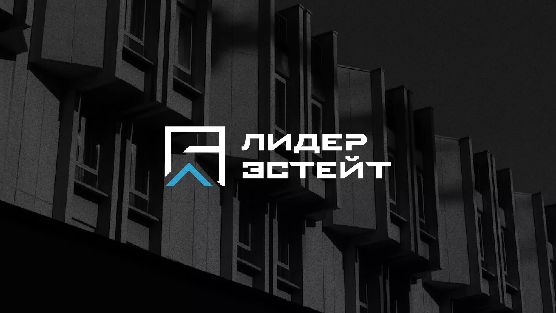 Разработка логотипа агентства недвижимости «Лидер Эстейт» в Чудово